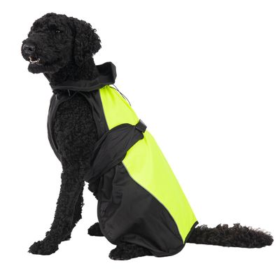 Hundemantel Illume Nite Neon