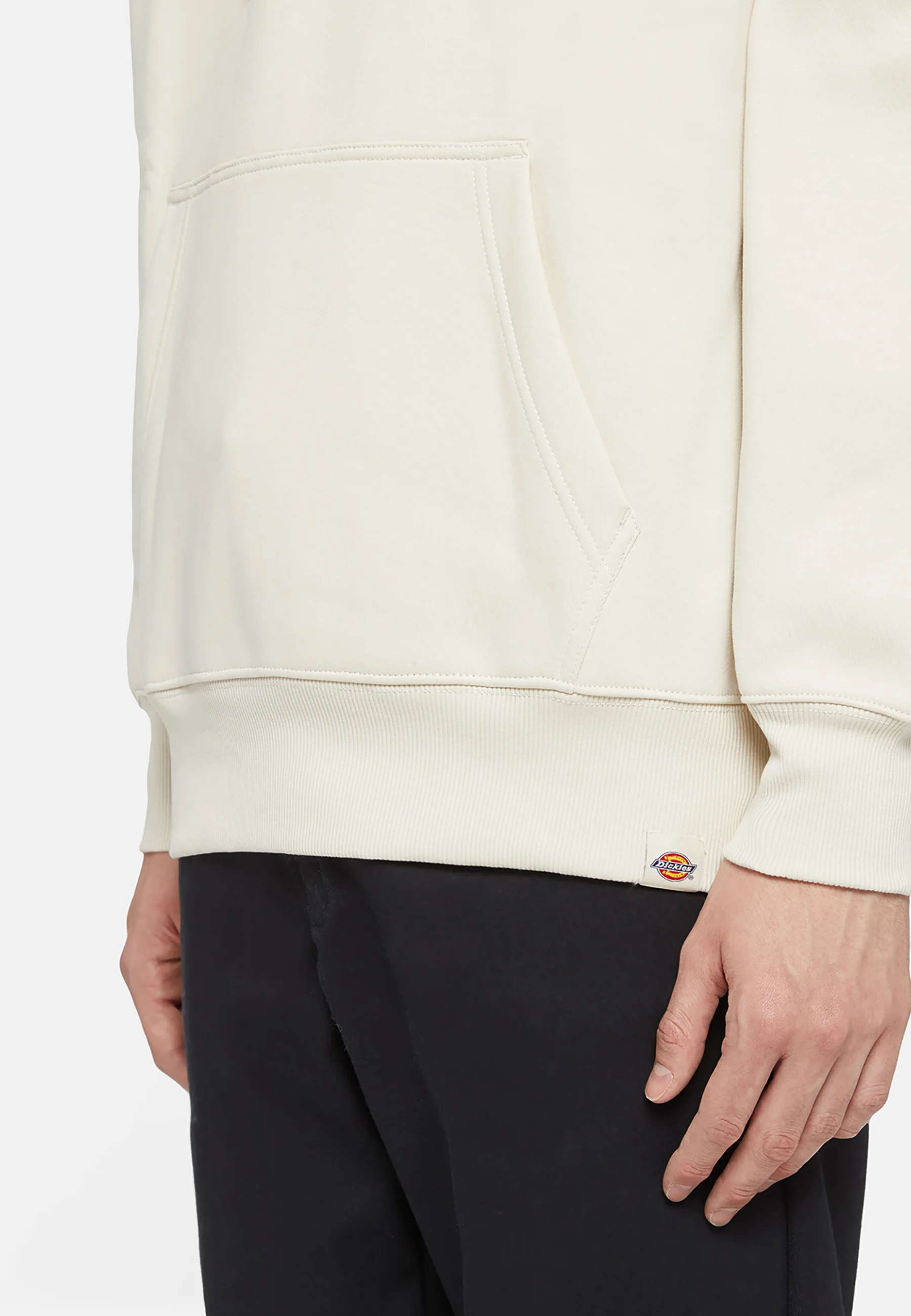 Sudadera con capucha Dickies PARK HOODIE