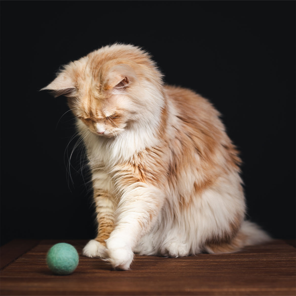 CATLABS Katzenspielzeug Flinke Filzbälle 2er-Pack