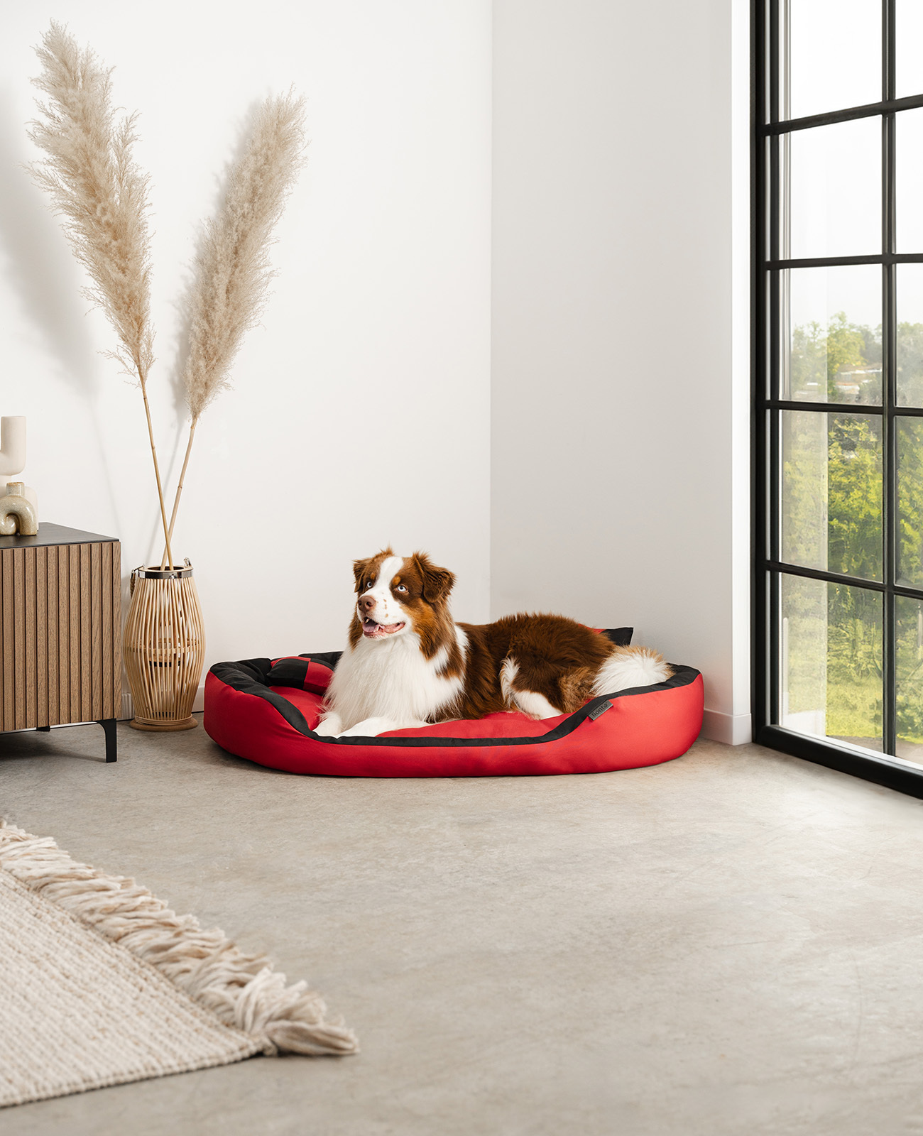 Lionto Hundebetten Lionto 4-in-1 Hundebett L