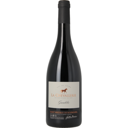 MAGNUM SAINT NICOLAS DE BOURGUEIL GUEULEBEE 2021 - LA CHEVALLERIE