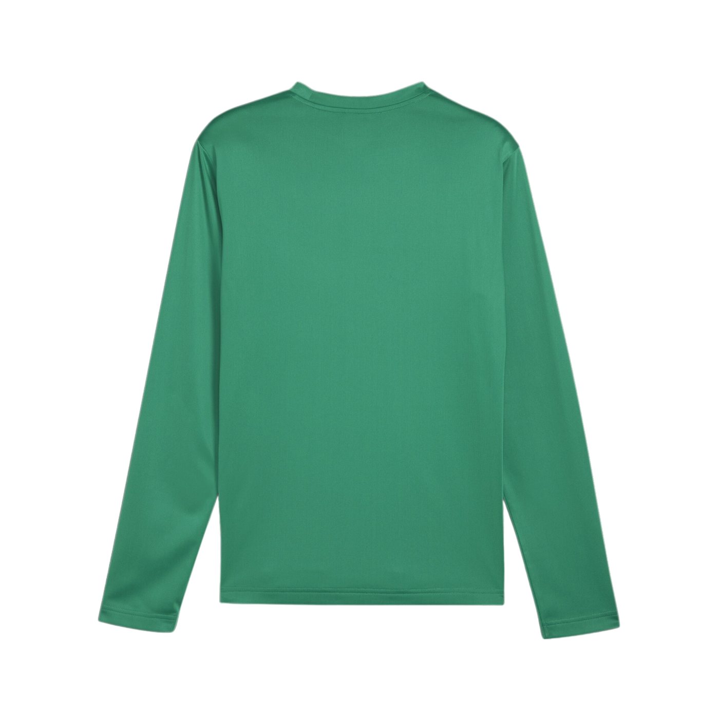 PUMA teamGOAL Training Sweatshirt Grün F05