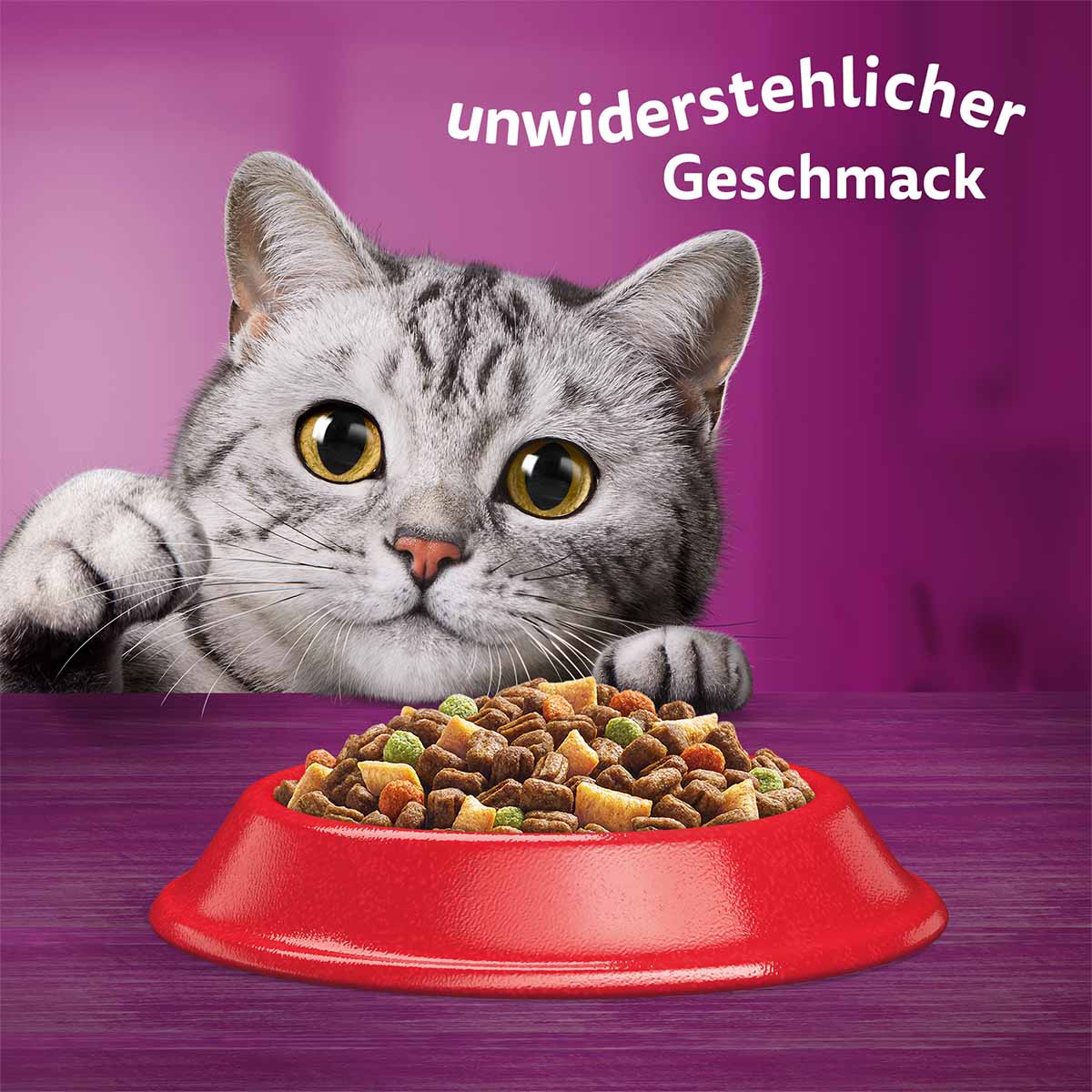 Whiskas Trocken Adult 1+ mit Rind 3,8kg kaufen