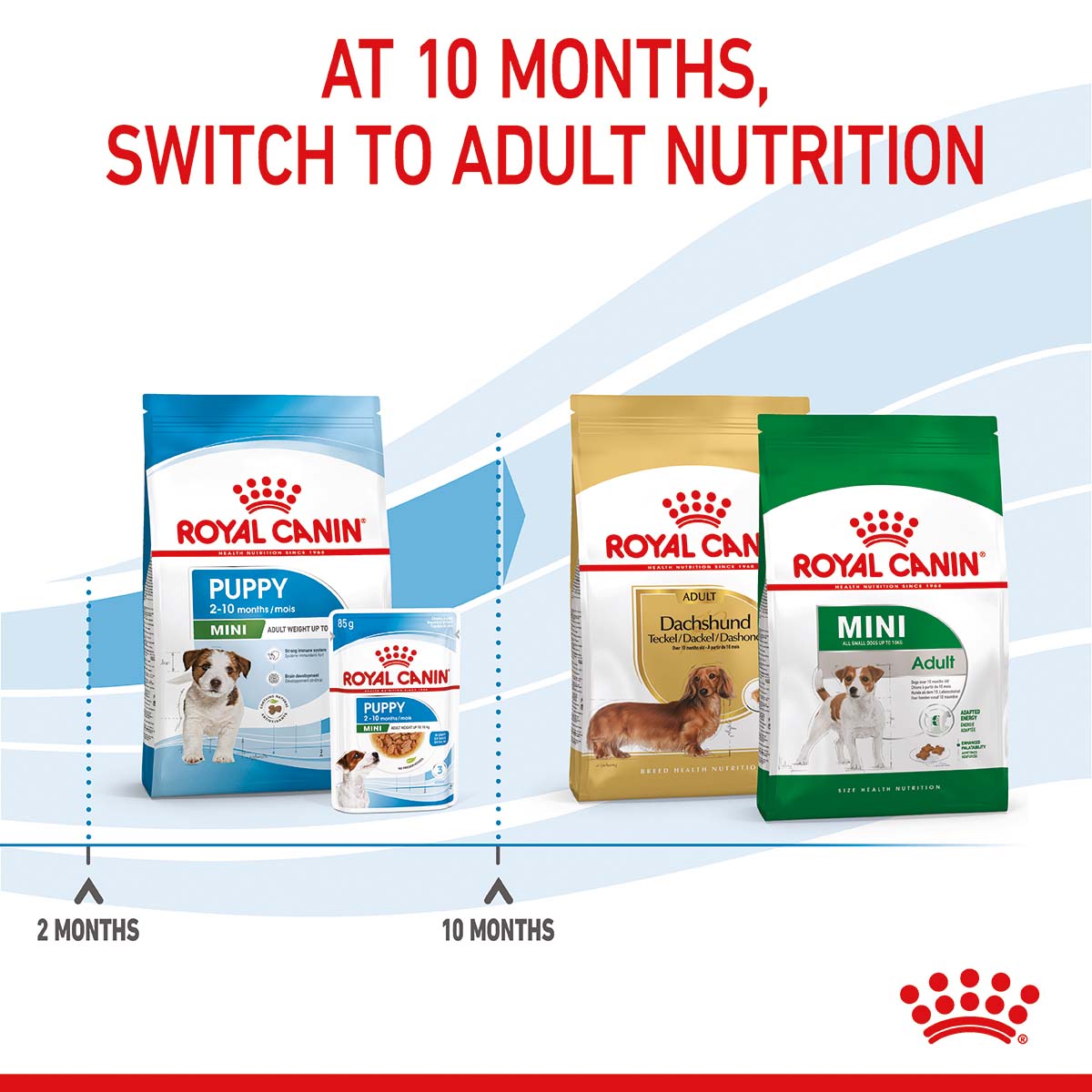 ROYAL CANIN MINI Puppy Trockenfutter für Welpen kleiner Hunderassen