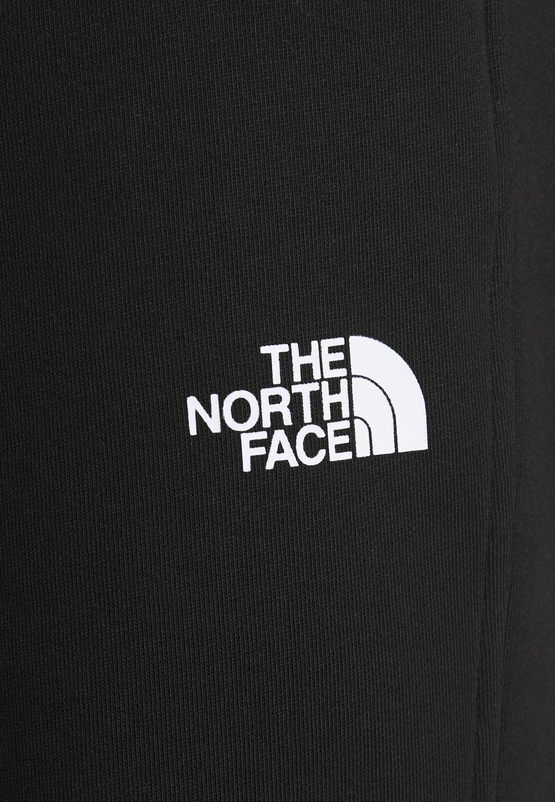 The North Face STANDARD PANT - Pantalones deportivos