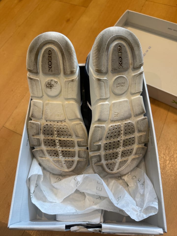 Geox Sneakers 