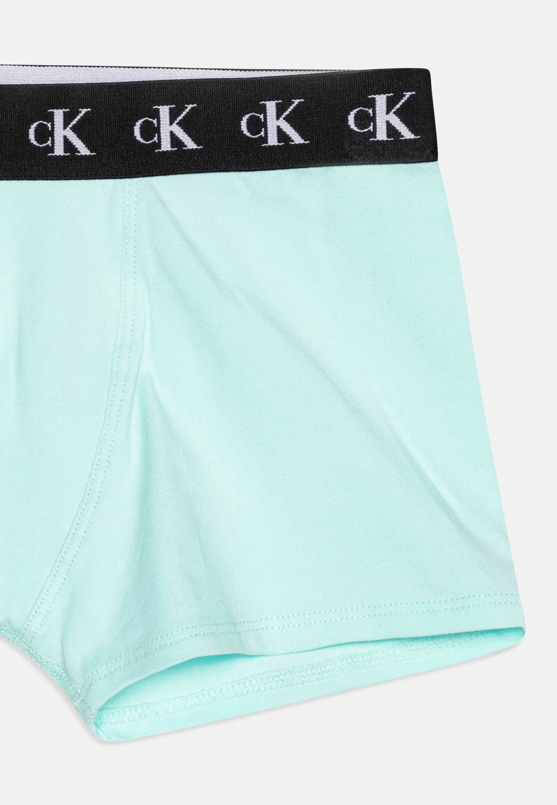 Calvin Klein Underwear TRUNK PACK DE 2 - Culotte