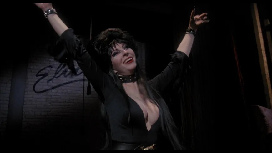 ELVIRA 1 – Herrscherin der Dunkelheit - Cover A (DVD) Limited Edition - Uncut
