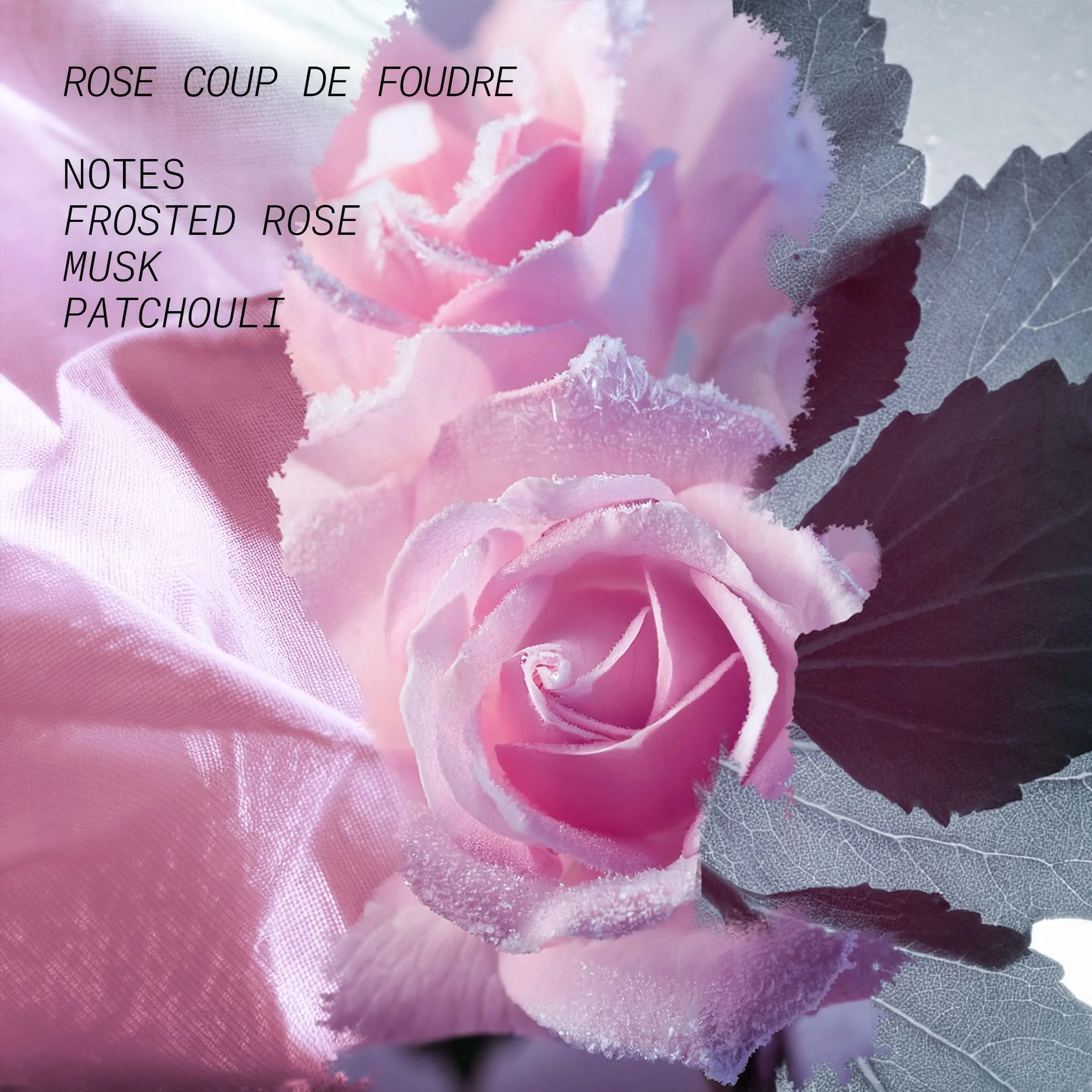 Opus 1 - Le Jardin Secret Rose Coup de Foudre - Eau de Parfum, Eau de Parfum Unisex