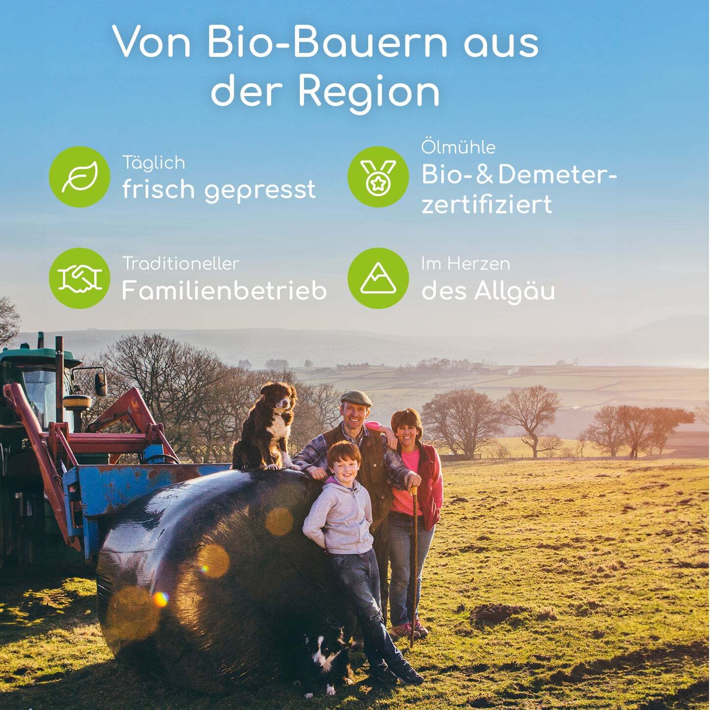 Wolfsbacher Natur Ergänzungsfutter & Aufzucht Wolfsbacher Natur Bio Hanföl 500 ml