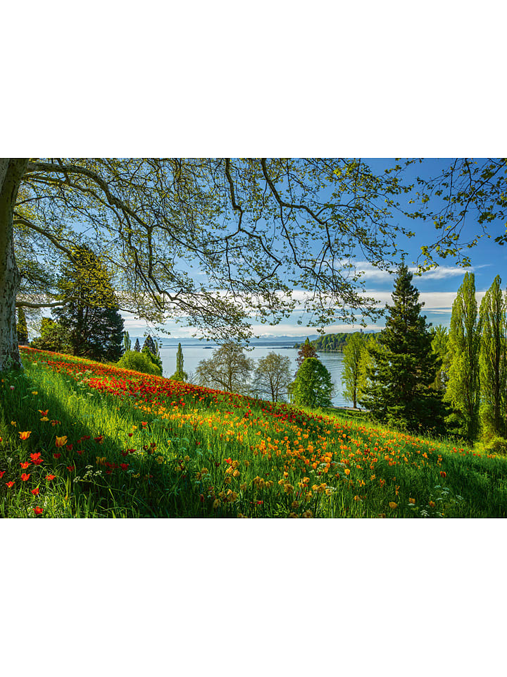 Schmidt Spiele 1.000tlg. Puzzle 