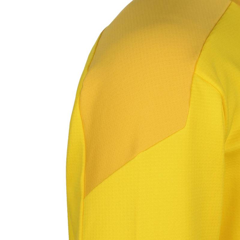 PUMA TeamGOAL 23 Funktionssweatshirt Herren