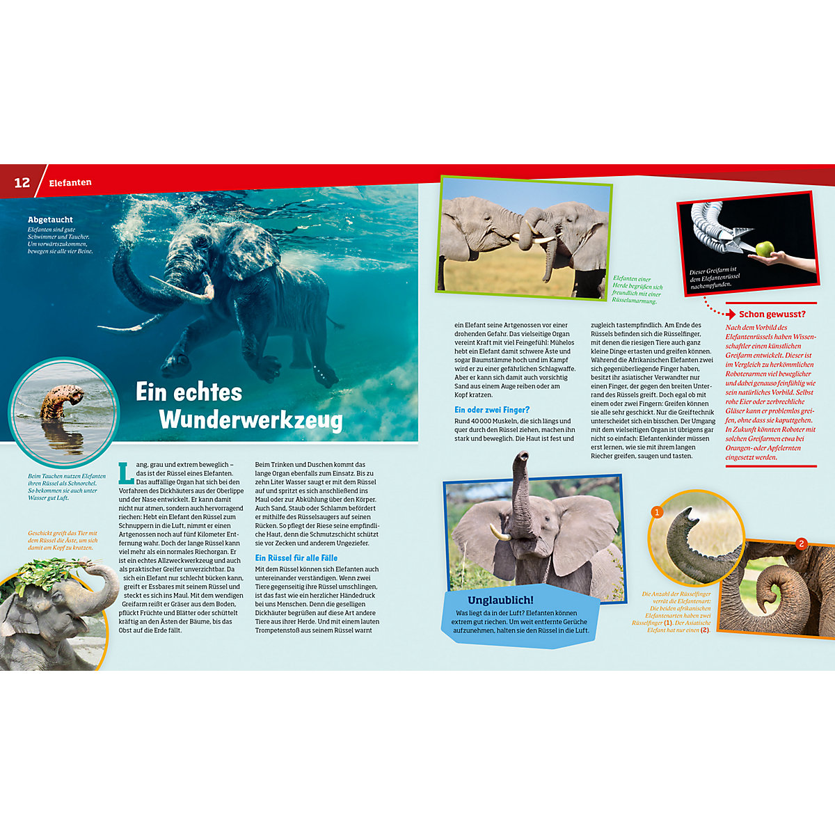 WAS IST WAS Entdecke die Tierwelt
