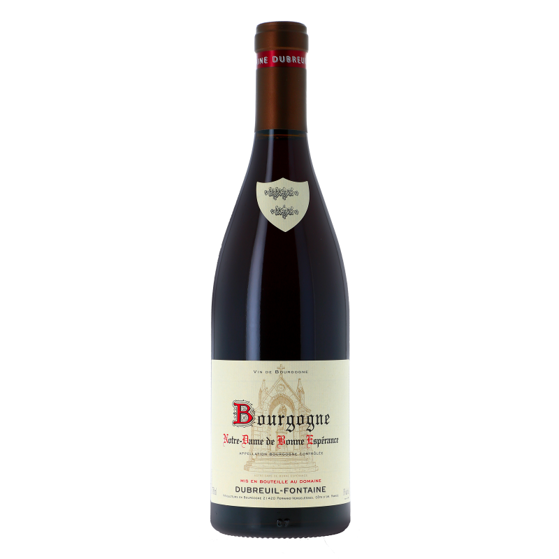 Bourgogne Notre Dame de Bonne Espérance 2021 - Bourgogne Aoc - Bourgogne - Domaine Dubreuil-Fontaine (75CL.)