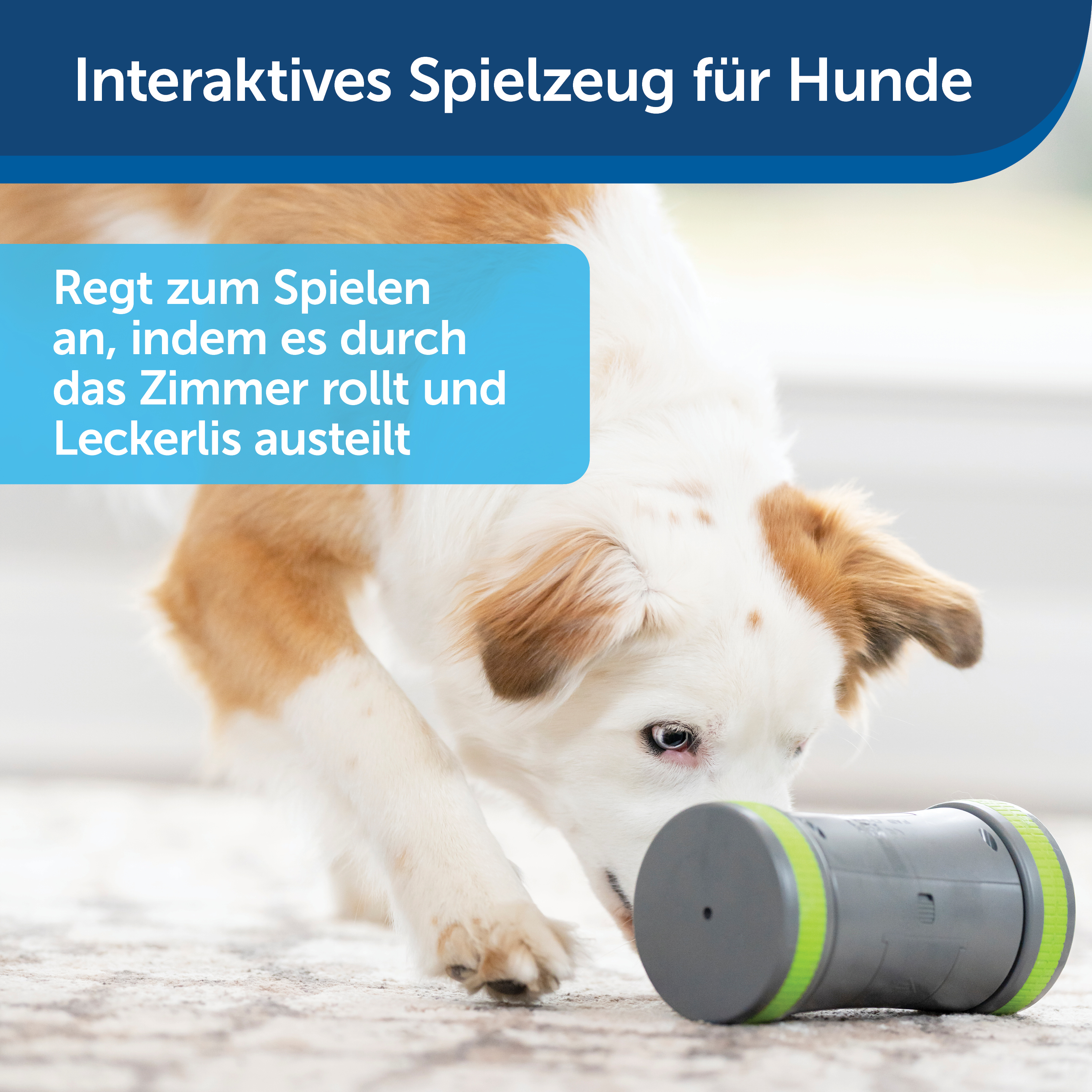 PetSafe Intelligenzspielzeug PetSafe Selbstbewegendes Belohnungsspielzeug Kibble Chase