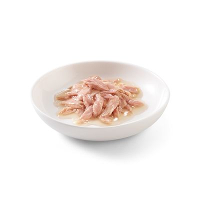 Schesir in natürlicher Sauce 6 x 70 g