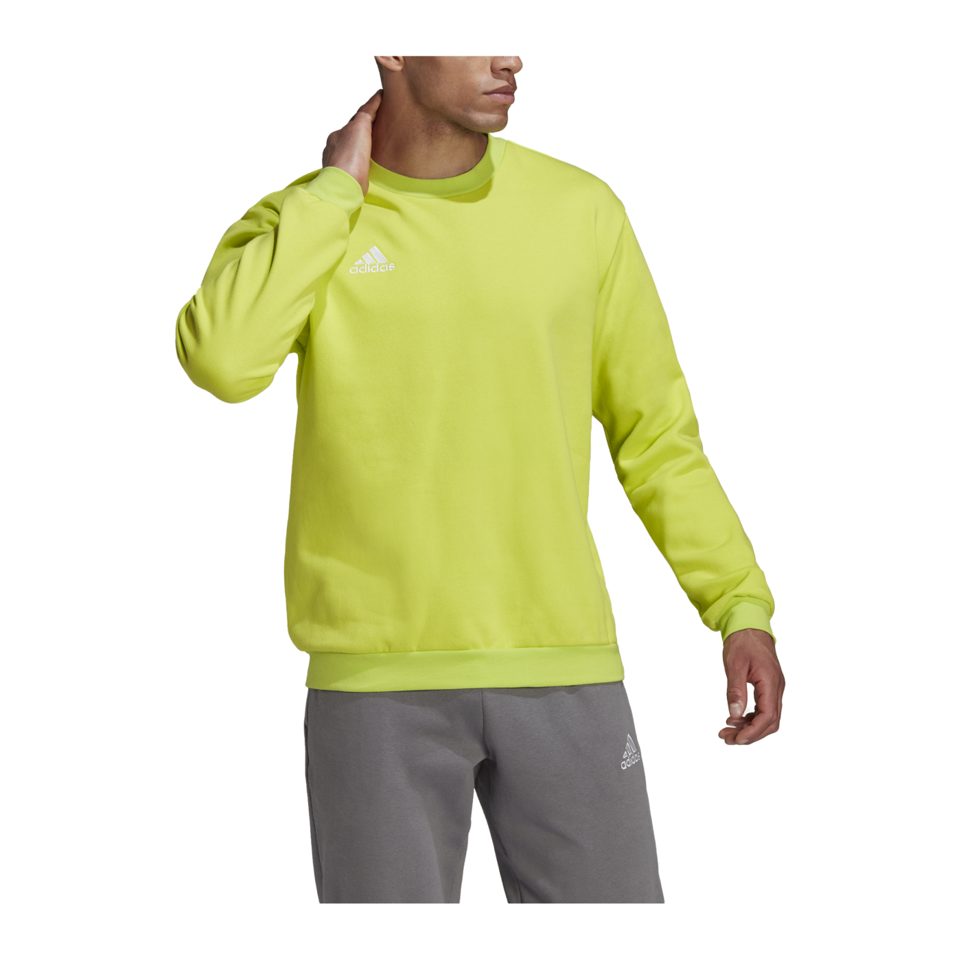 adidas Entrada 22 Sweatshirt Grün