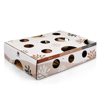 CanadianCat Company Intelligenzspielzeug MagicBox
