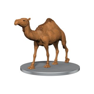 D&D Icons of the Realms: Sand & Stone (Set 26) Booster (1)