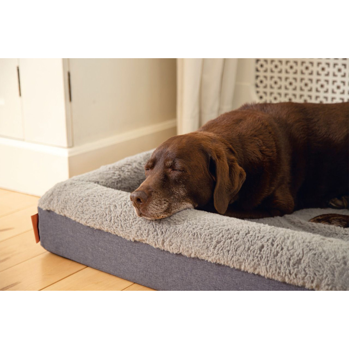Beeztees orthopädisches Memory Foam Hundebett Yura bei ZooRoyal