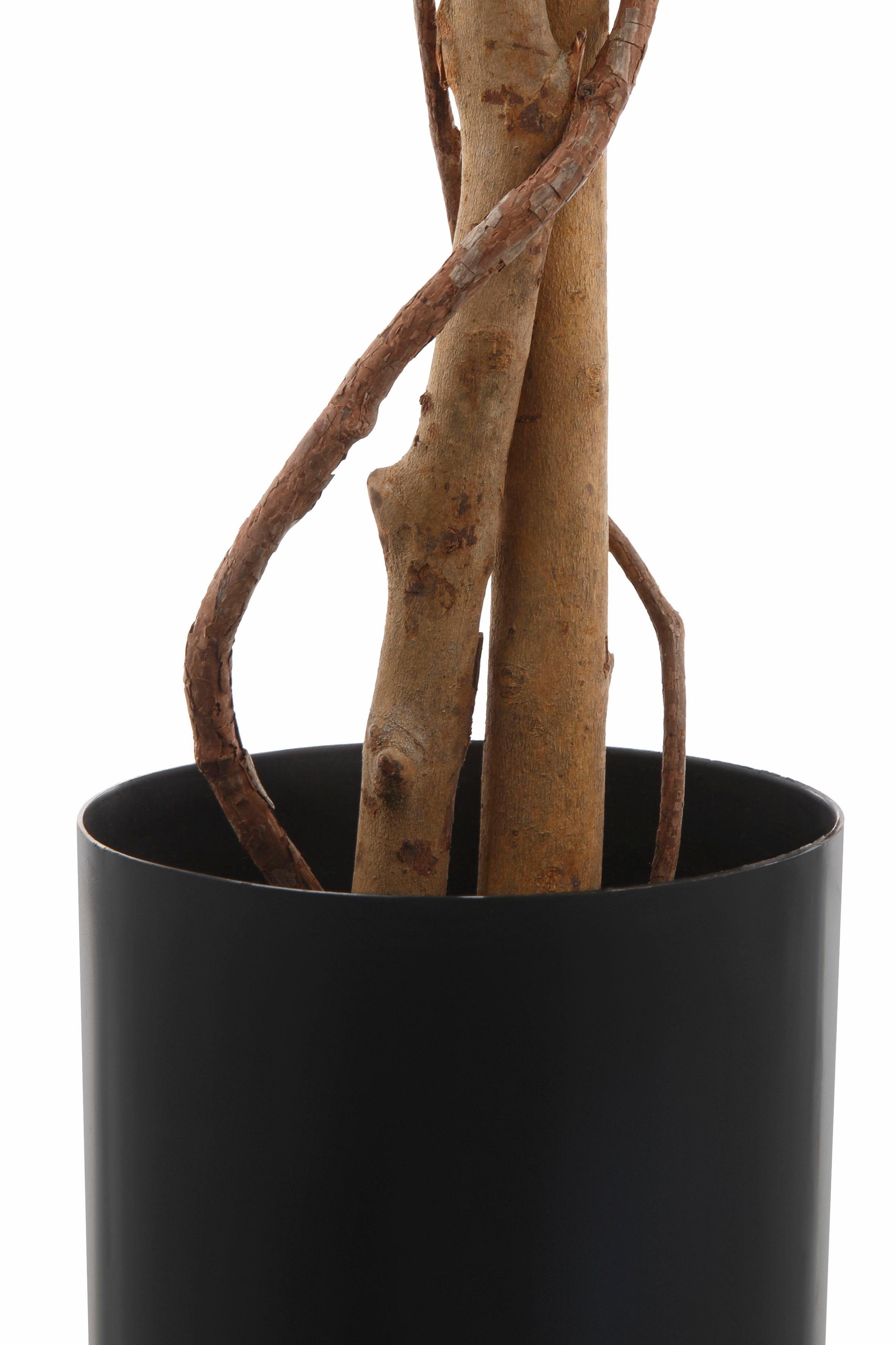 Kunstpflanze Ficus Benjamini Ficus Benjamini, Creativ green, Höhe 120 cm