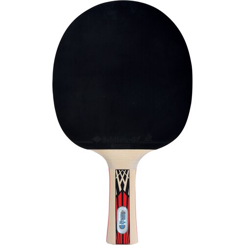 TISCHTENNISSCHLÄGER LEGENDS 900 FSC