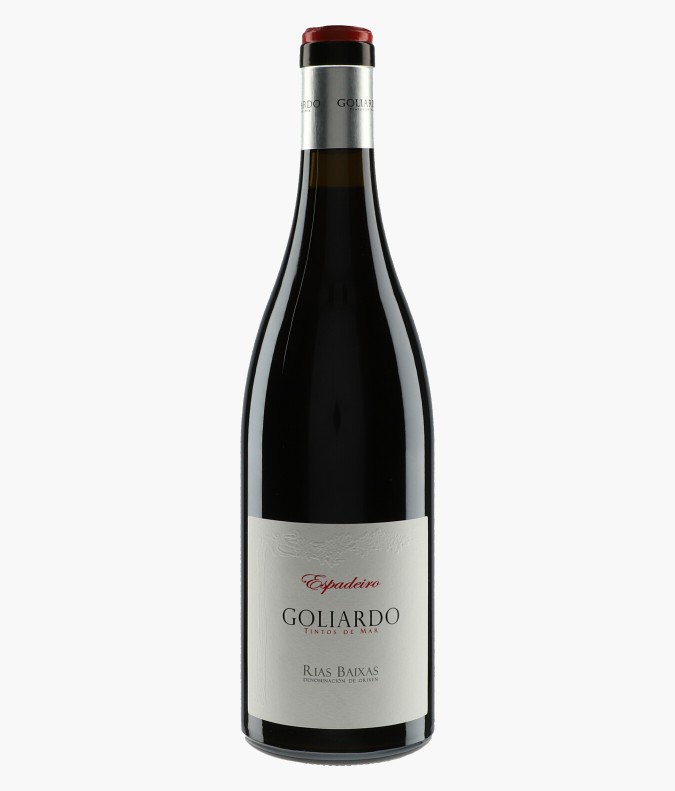 Goliardo Espadeiro 2017FORJAS DEL SALNES