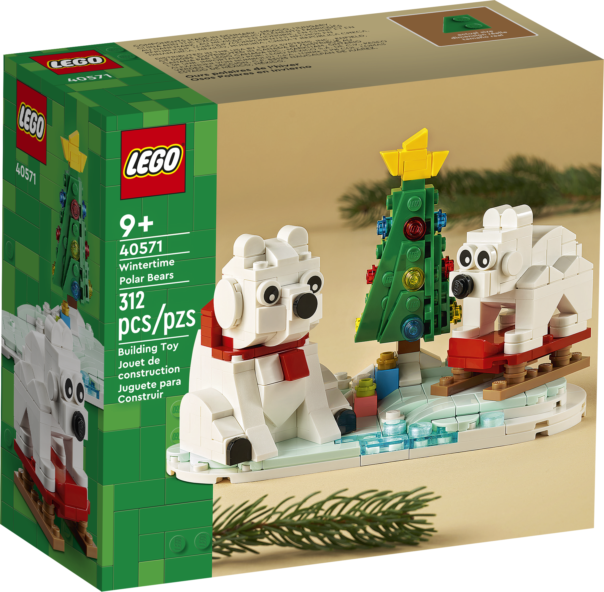 Eisbären im Winter 40571