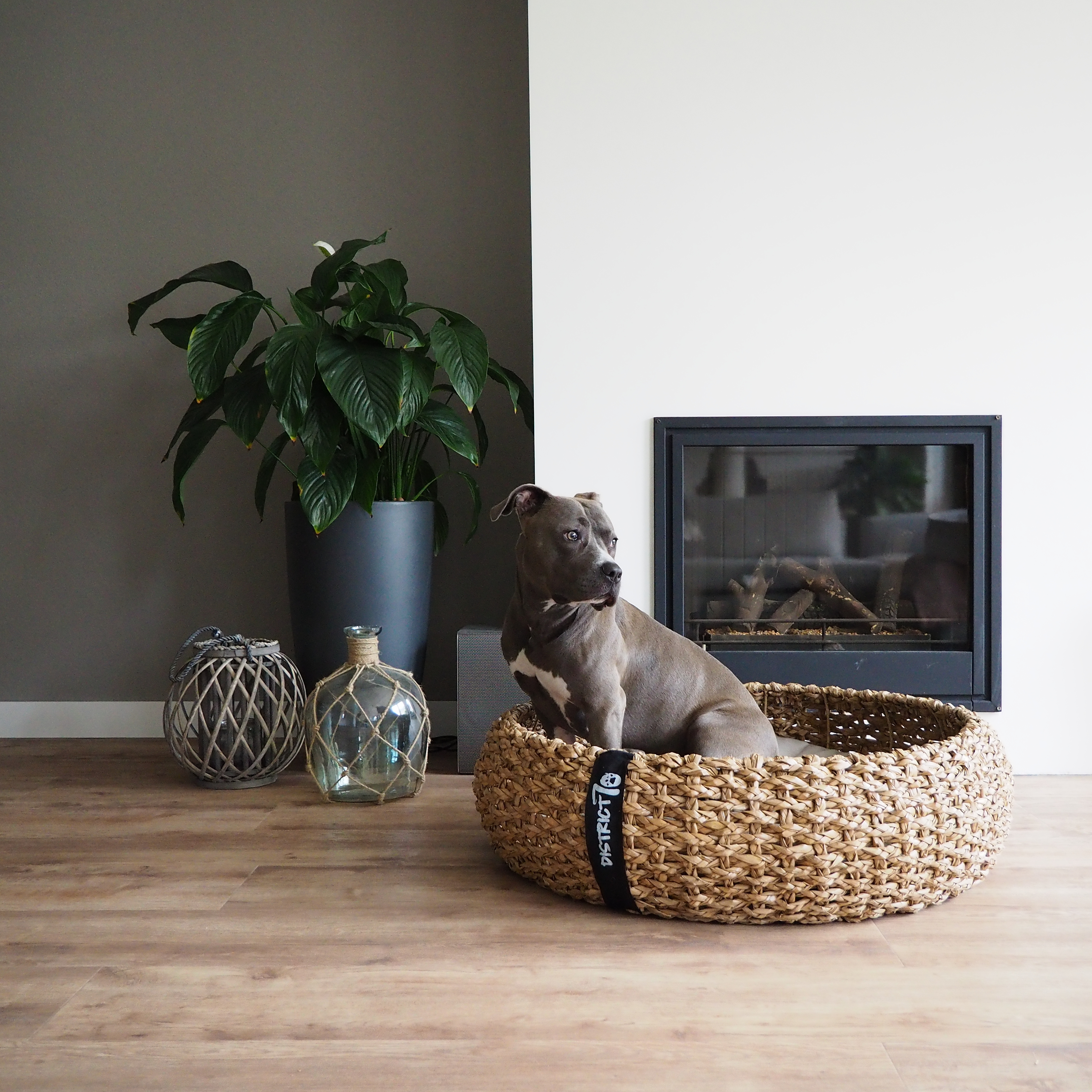 District 70 Katzenbetten & Katzensofas District 70 COCOON Natural L