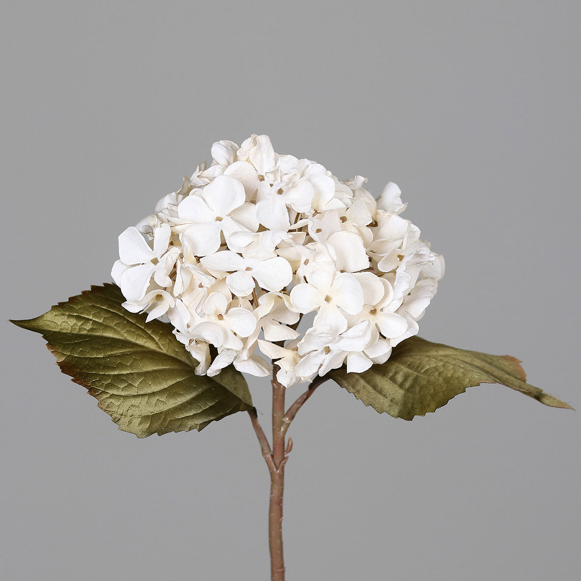 DPIHortensie 45cm