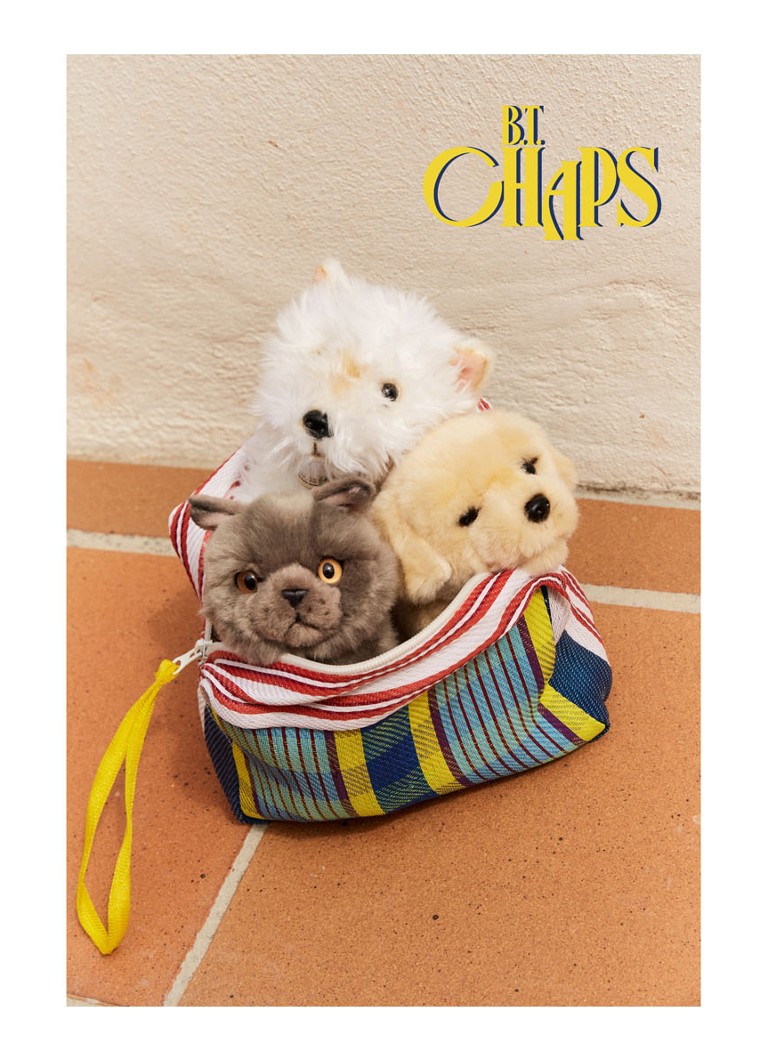 BT Chaps Freddy, brytyjski krótkowłosy, pluszowa zabawka, 20 cm.