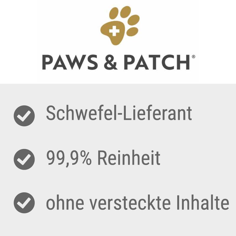 PAWS & PATCH MSM Pulver zu TOP-Preisen