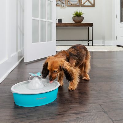 PetSafe® Drinkwell® Butterfly Trinkbrunnen