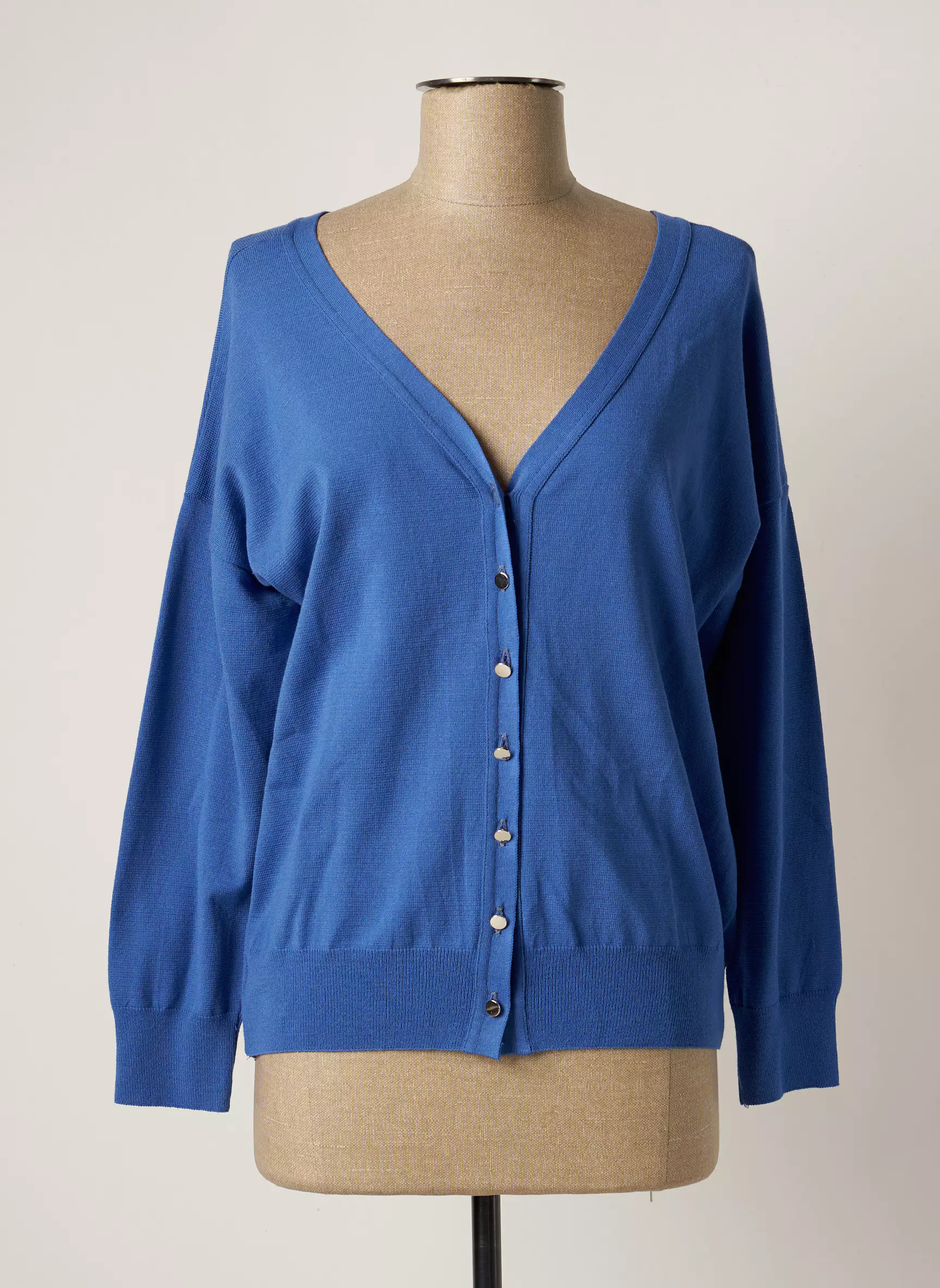 Griffon Cardigans Femme couleur bleu