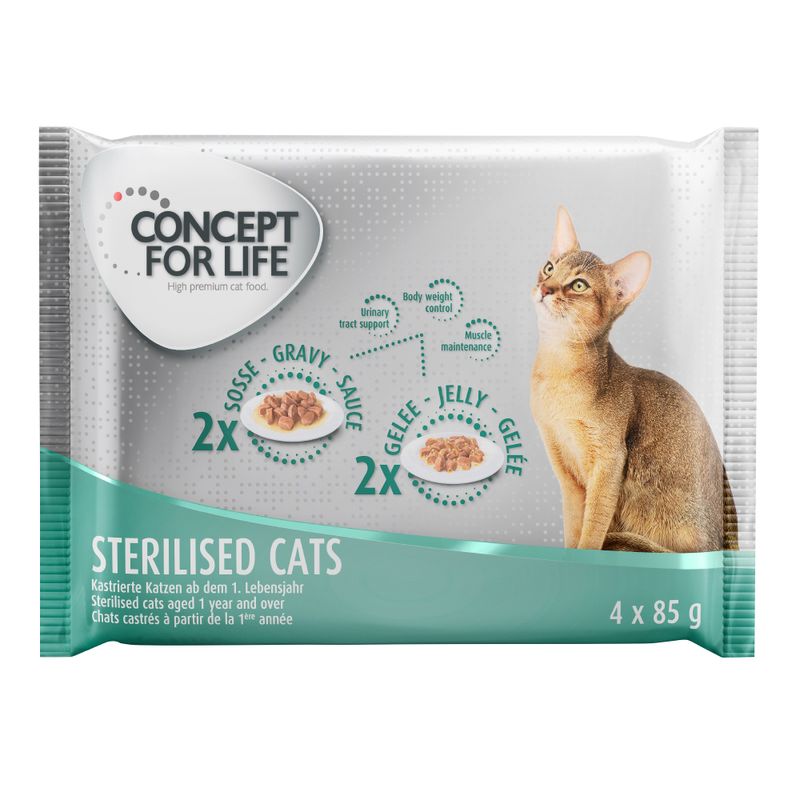Probierpaket Concept for Life 4 x 85 g zu TOP-Preisen