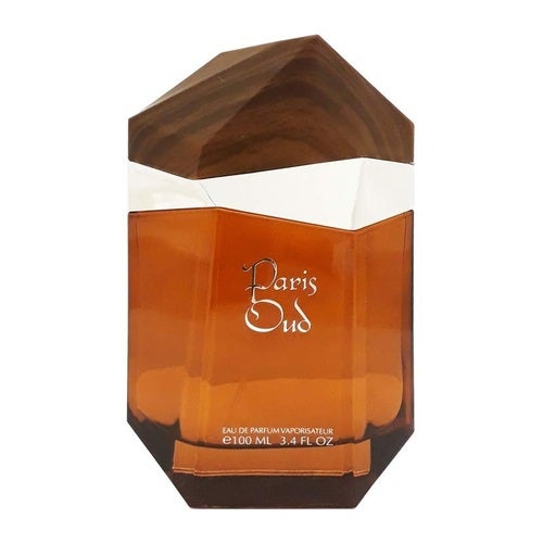 Parfumska voda Afnan Paris Oud 100 ml