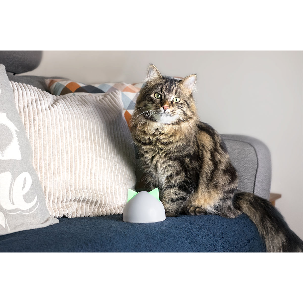 Sure Petcare Felaqua Connect Wasserspender mit Hub