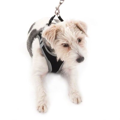 Hunde-Softgeschirr Feel Free - schwarz