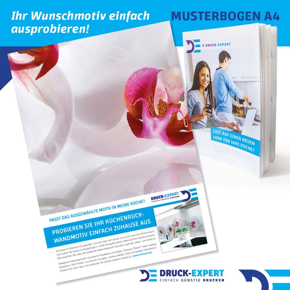 DRUCK-EXPERT Küchenrückwand Küchenrückwand Orchidee Premium Hart-PVC 0,4 mm selbstklebend