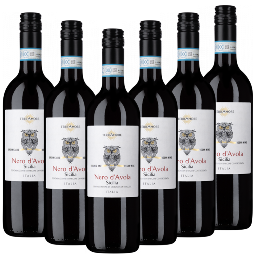 TerrAmore Bio-Nero d Avola Sicilia DOC TerrAmore Italien  trocken - 6er Karton