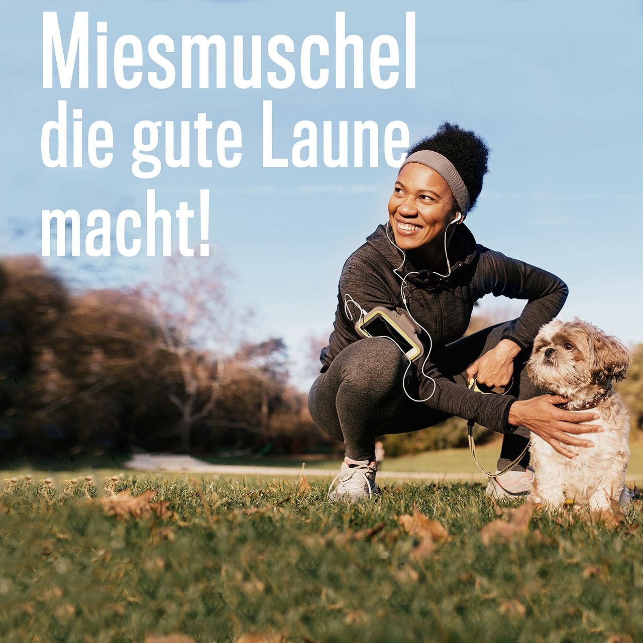 ALPHAZOO Ergänzungsfutter & Aufzucht ALPHAZOO Grünlippmuschel-Pulver für Hunde und Katzen 100 g