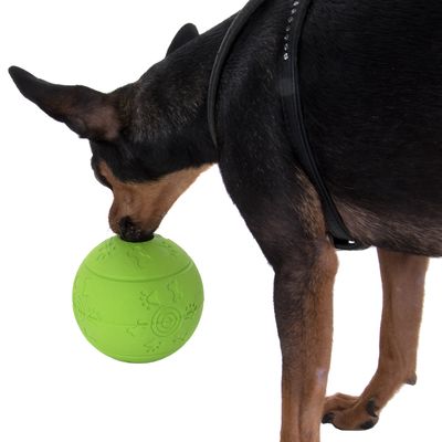 Hundespielzeug Snackball