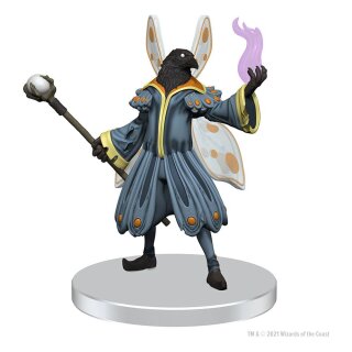 Dungeon & Dragons Icons of the Realms Set 20 The Wild Beyond the Witchlight Premium Set 1