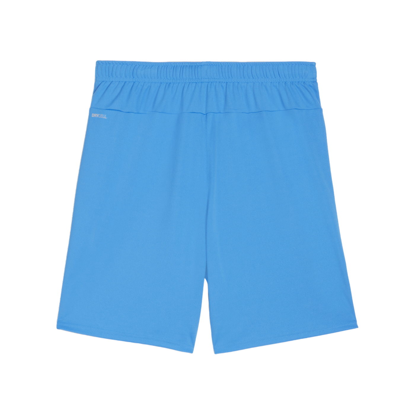 PUMA teamGOAL Short Blau Weiss F02