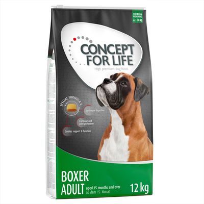 Sparpaket Concept for Life 2 x Großgebinde