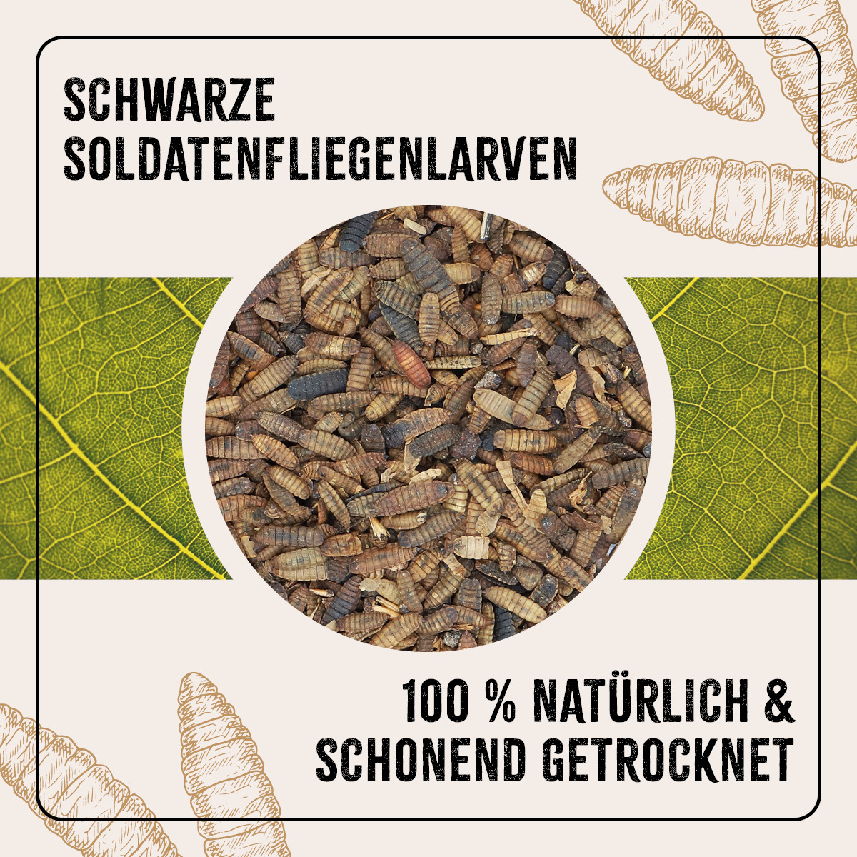 Aniforte Futter & Heu Aniforte FarmLife Soldatenfliegenlarven 800g