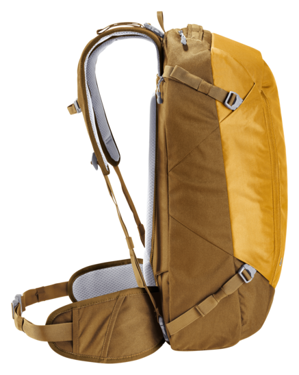 AViANT Access 38