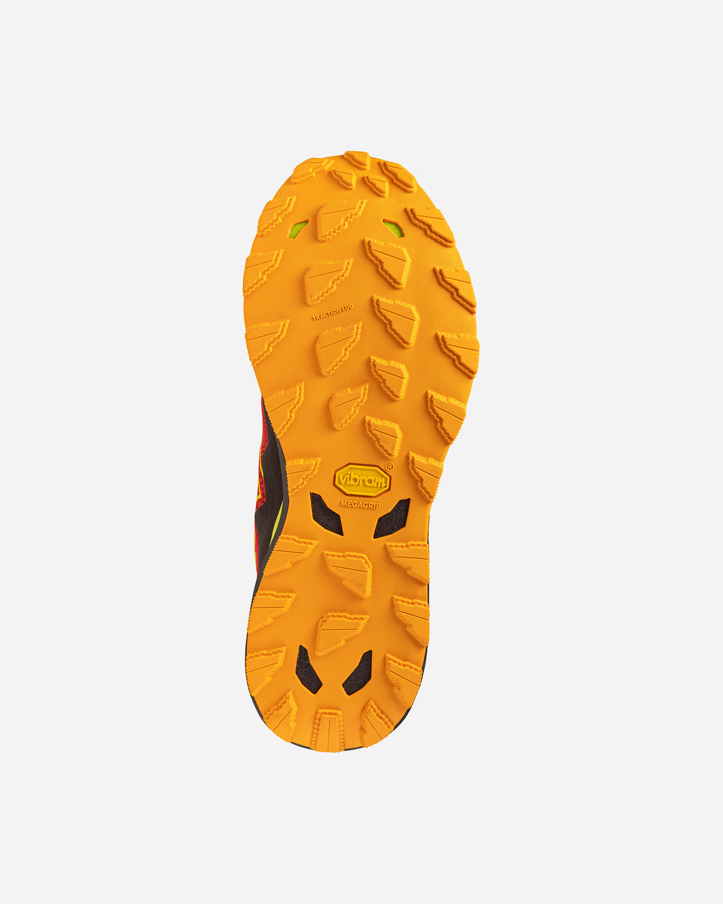 Scarpe Trail Mizuno Wave Daichi 9 M J1GJ2571-03