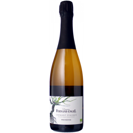 CRÉMANT D'ALSACE PROMESSE - DOMAINE FERNAND ENGEL