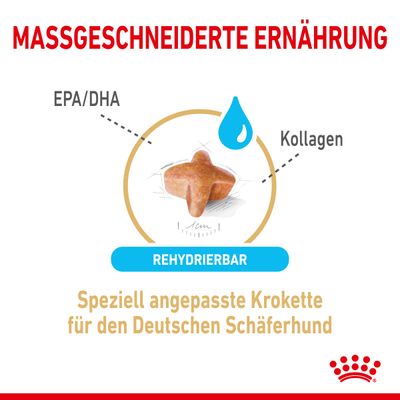 Royal Canin German Shepherd Adult 5+